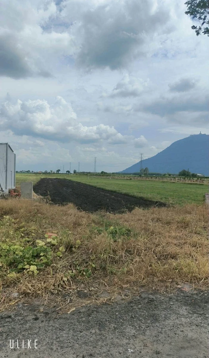 Bán đất 5000m2 Dương Minh Châu Tây Ninh 800 triệu - Ảnh thu nhỏ 2
