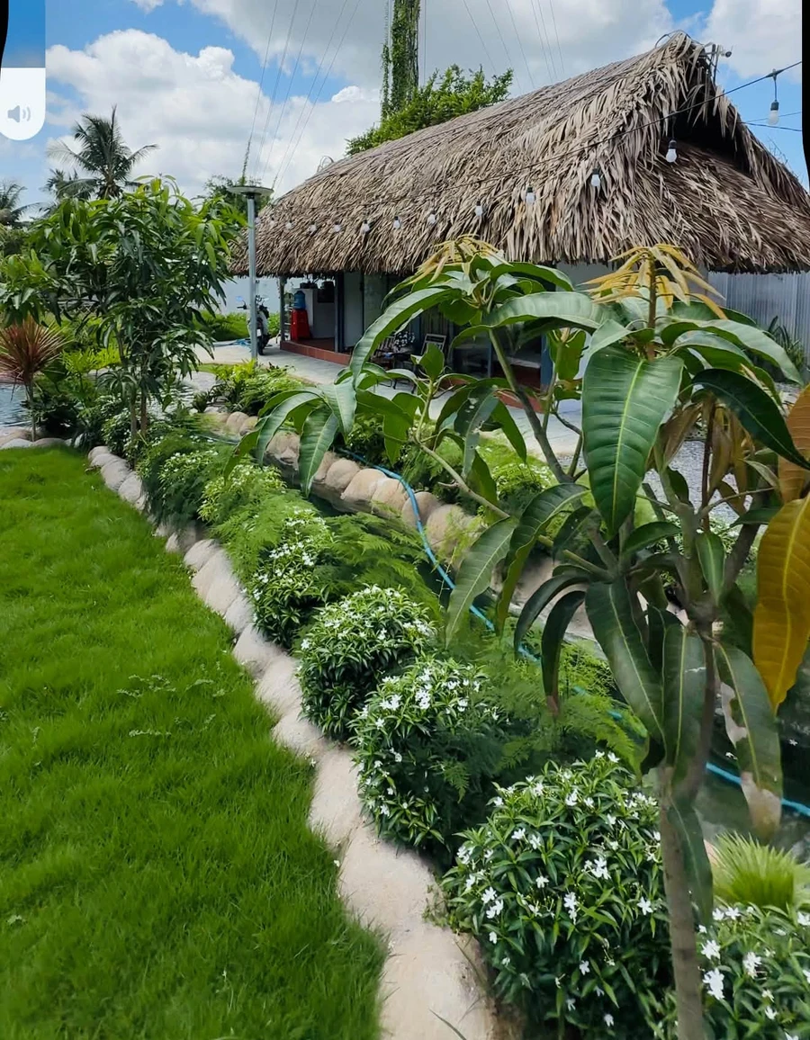 Bán biệt thự vườn 527m² với hồ bơi gần KCN Giao Long 1,39 tỷ - Ảnh thu nhỏ 2