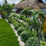 Bán biệt thự vườn 527m² với hồ bơi gần KCN Giao Long 1,39 tỷ - Ảnh thu nhỏ 2