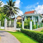 Bán nhà vườn kiên cố 260m2 Ninh Hoà - Ảnh thu nhỏ 3