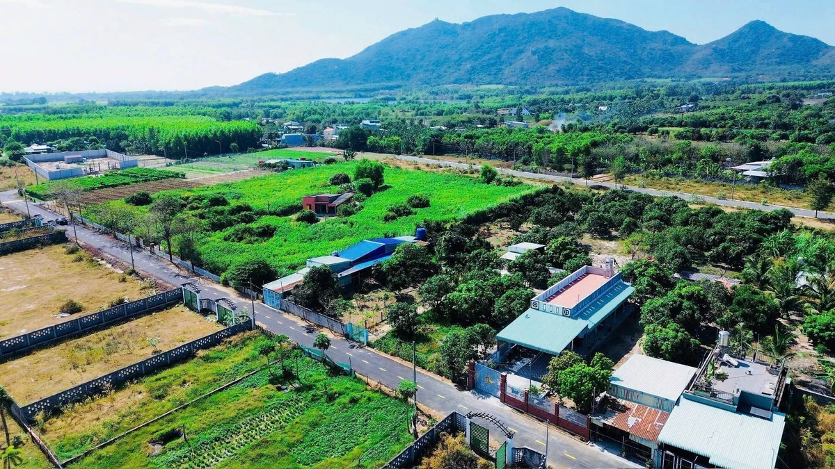 Bán vườn xoài Phước Hải 2000m2, view núi, 7.2 tỷ - Ảnh thu nhỏ 3
