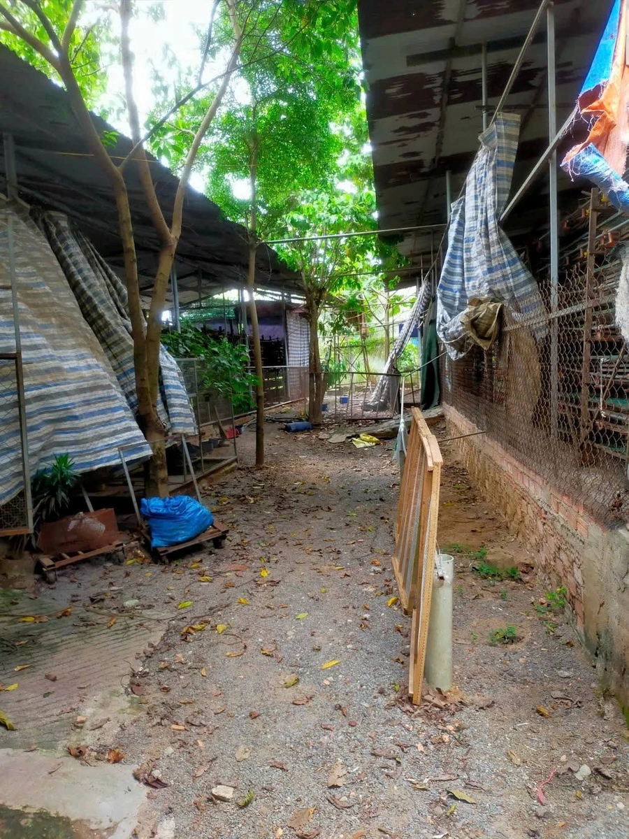 Bán đất trang trại 2300m2 Đồng Nai 2 tỷ 3 - Ảnh thu nhỏ 4