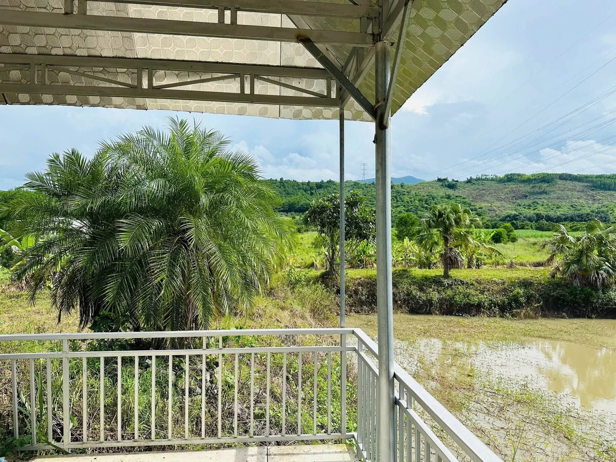 Bán farm nghỉ dưỡng Diên Thọ 16.240m² sổ hồng - Ảnh thu nhỏ 5