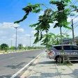 Mặt tiền đường Ven Biển 42m - 477m2 - 22x21m - cách biển Phước Hải 1km - Ảnh thu nhỏ 12