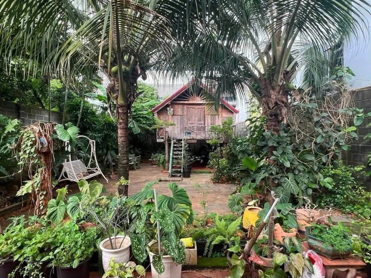 Bán villa mặt tiền Mai Xuân Thưởng, Buôn Ma Thuột, 300m² thổ cư, giá 14,5 tỷ - Ảnh thu nhỏ 4