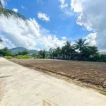 Bán lô đất mặt tiền Bầu Dài 129m2 Nhà Bè - Ảnh thu nhỏ 1