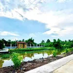 Bán nền đất Thạnh Lộc 230m² 520 triệu - Ảnh thu nhỏ 4