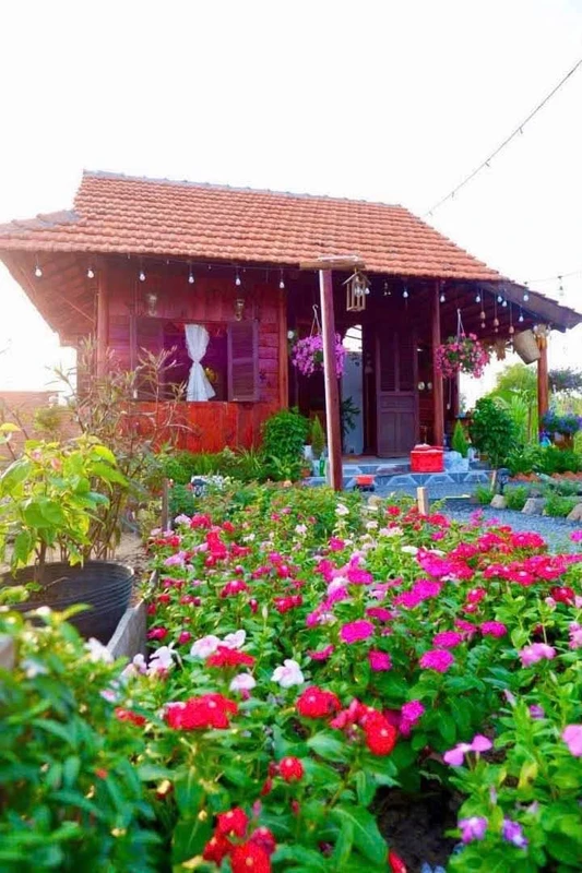 Bán đất vườn 800 m2 tại Hàm Liêm, Phan Thiết, Bình Thuận