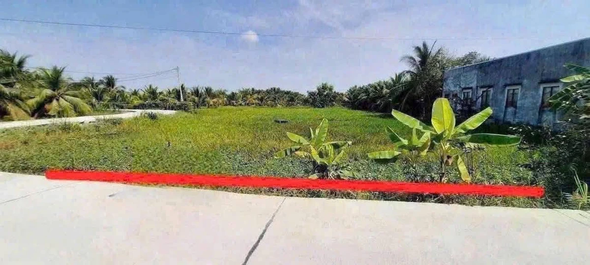 Bán đất vườn 2.112m² Tân An Long An giá 3 tỷ - Ảnh thu nhỏ 2