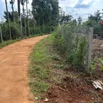 Bán đất 8200m² mặt tiền 27m Xã Năm, Đắk Song - Ảnh thu nhỏ 1