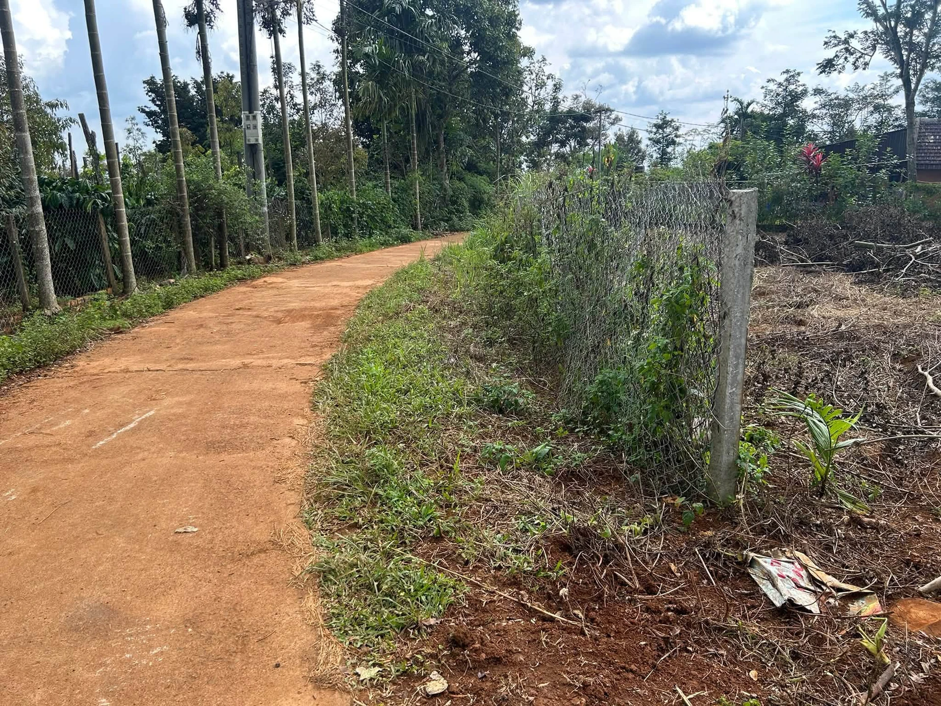 Bán đất 8200m² mặt tiền 27m Xã Năm, Đắk Song - Ảnh 1