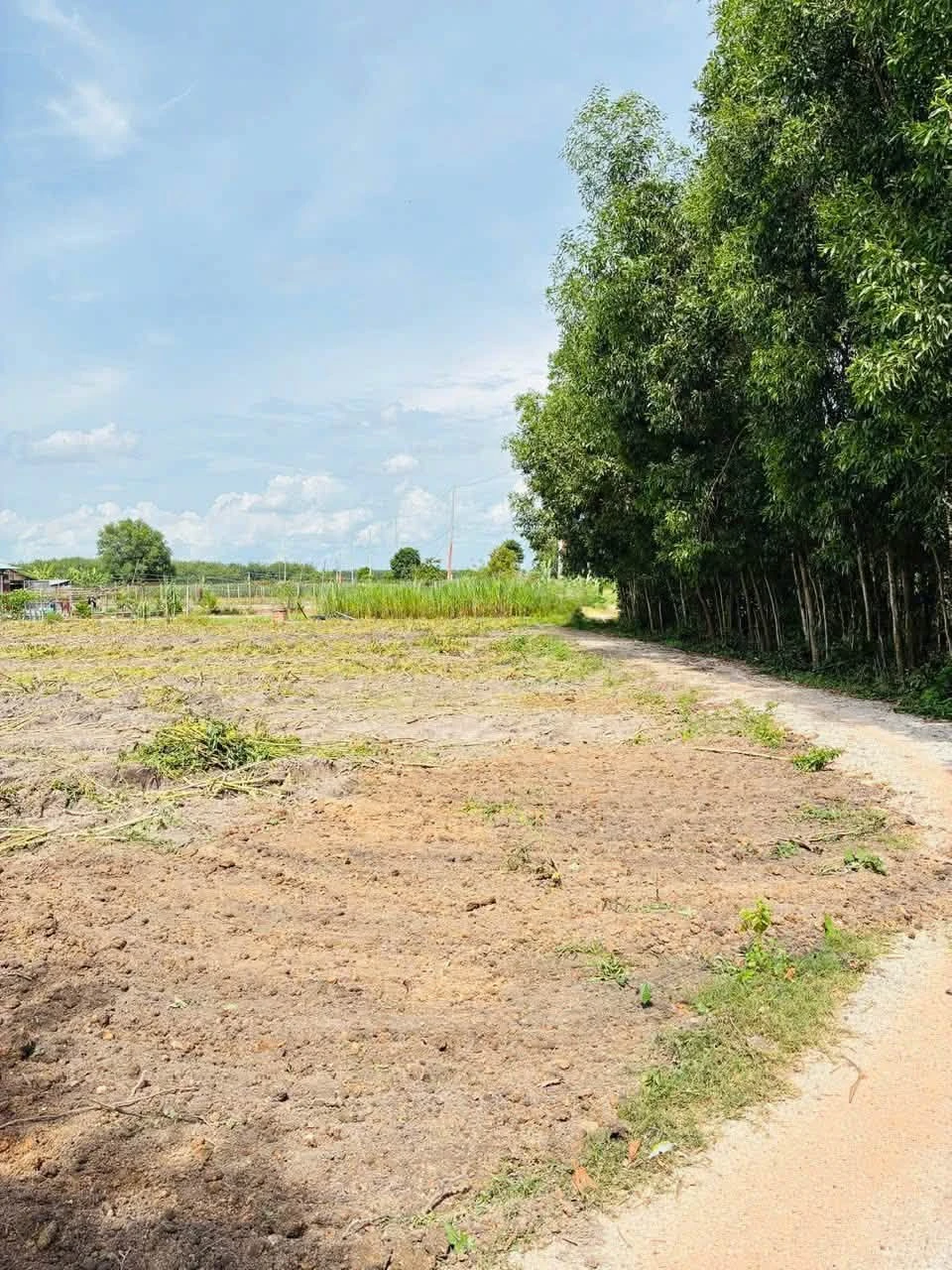 Bán đất 5x100m (500m2, 50m2 thổ cư) xã Phan, Dương Minh Châu, Tây Ninh giá 280 triệu - Ảnh 1