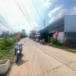 Bán đất mặt đường Triệu Quang Phục 230m² Cần Giờ - Ảnh thu nhỏ 3
