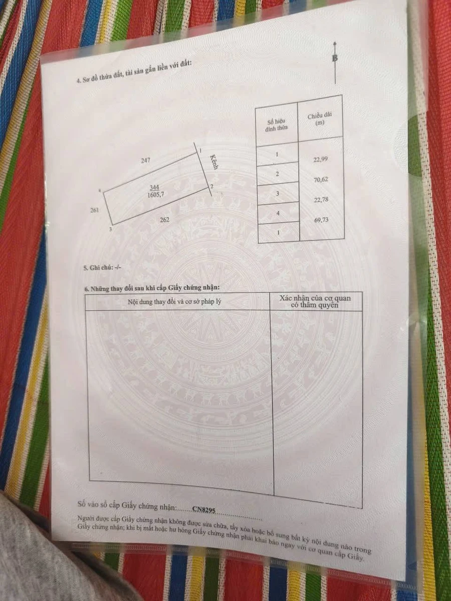 Bán đất Giồng Trôm 1 công 6 (1600m²) Cần Giờ 590 triệu - Ảnh thu nhỏ 4
