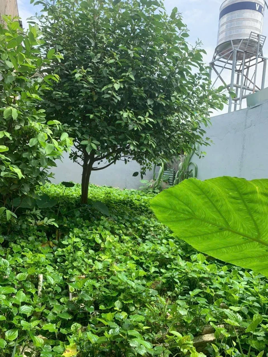 Bán nhà gác lửng Long Bình 175m² 4 phòng ngủ 2 tỷ 8 - Ảnh thu nhỏ 3