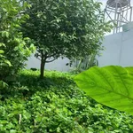 Bán nhà gác lửng Long Bình 175m² 4 phòng ngủ 2 tỷ 8 - Ảnh thu nhỏ 3