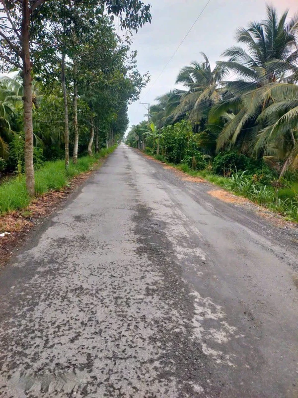 Bán đất Diên Thọ Hóc Môn 72-100m² từ 346 triệu nhagaclung