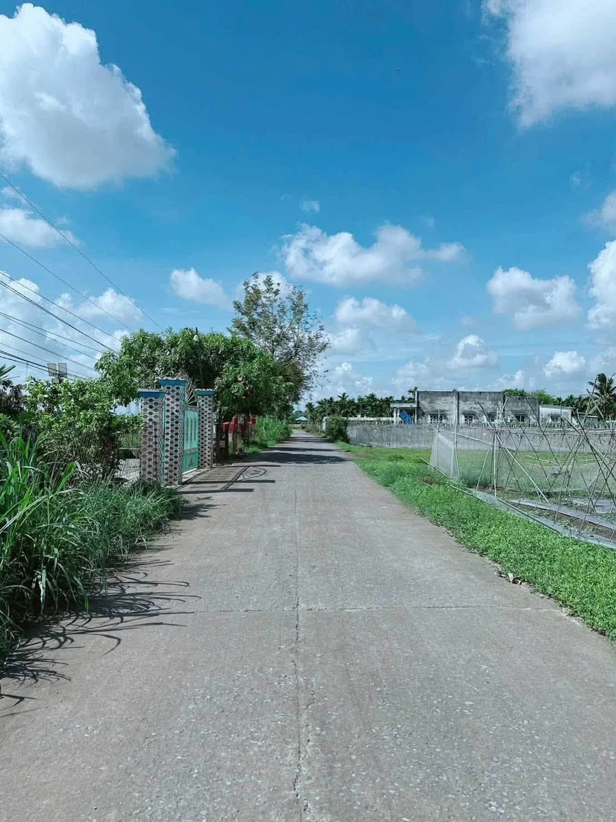 Bán đất mặt tiền Pê Tông 5x25m 125m² Hóc Môn - Ảnh thu nhỏ 2