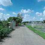 Bán đất mặt tiền Pê Tông 5x25m 125m² Hóc Môn - Ảnh thu nhỏ 2