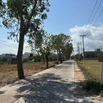 Bán nhà cấp 4, 120m² mặt tiền tại Phan Thiết - Ảnh thu nhỏ 2