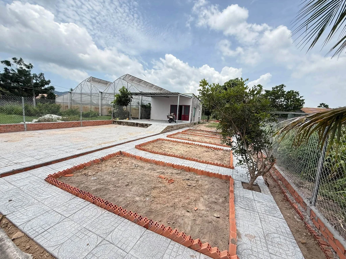 Bán nhà vườn Long Mỹ Phước Hải 462m² giá 2.05 tỷ - Ảnh 1