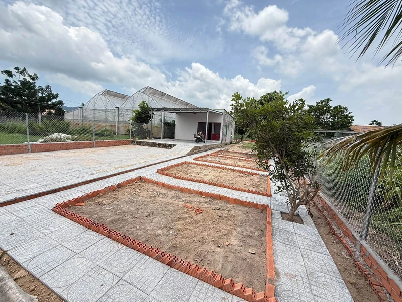 Bán nhà vườn Long Mỹ Phước Hải 462m² giá 2.05 tỷ