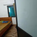 Bán nhà 2 tầng 233,5m2 mặt đường Cái Lân Hạ Long 11.5 tỷ - Ảnh thu nhỏ 2
