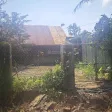 Bán 42ha vườn cà phê, sầu riêng tại Quảng Khê, Đắk Nông - Ảnh thu nhỏ 13
