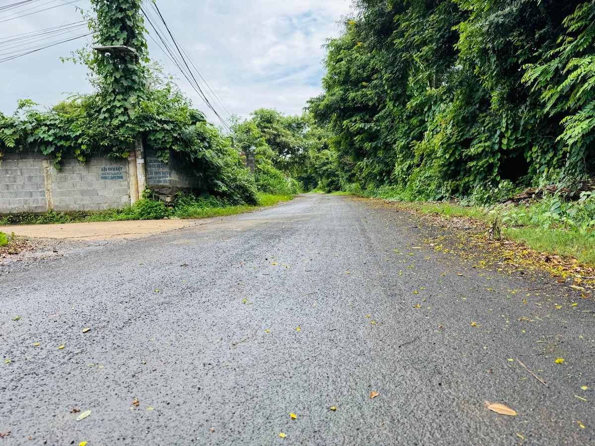 Bán đất vườn 1283m2 (300m2 thổ cư) giá 4,95 tỷ tại phường Tân Lập, Buôn Ma Thuột - Ảnh thu nhỏ 2