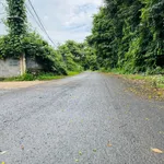 Bán đất vườn 1283m2 (300m2 thổ cư) giá 4,95 tỷ tại phường Tân Lập, Buôn Ma Thuột - Ảnh thu nhỏ 2