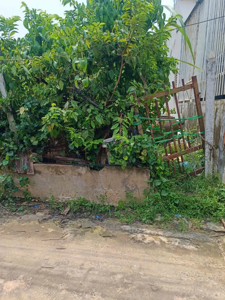 Bán lô đất 130m2 giá 1,49 tỷ tại Tương Bình Hiệp, Thủ Dầu Một, Bình Dương - Ảnh thu nhỏ 4