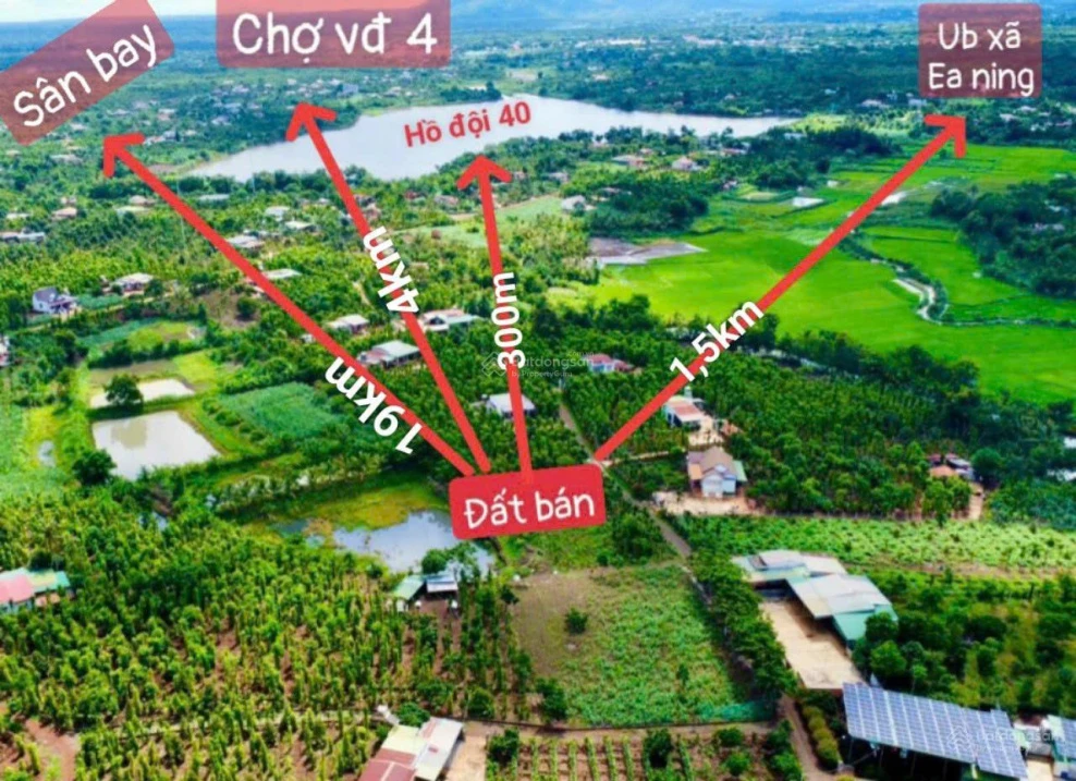 Tặng vườn cau sở hữu ngay lô đất full thổ cư giá 239tr Ea Ning Cư Kuin - 0971 801 *** - Ảnh thu nhỏ 2