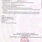 Bán đất thổ cư 25000m2 gần KCN Chơn Thành 5,5 tỷ - Ảnh thu nhỏ 5