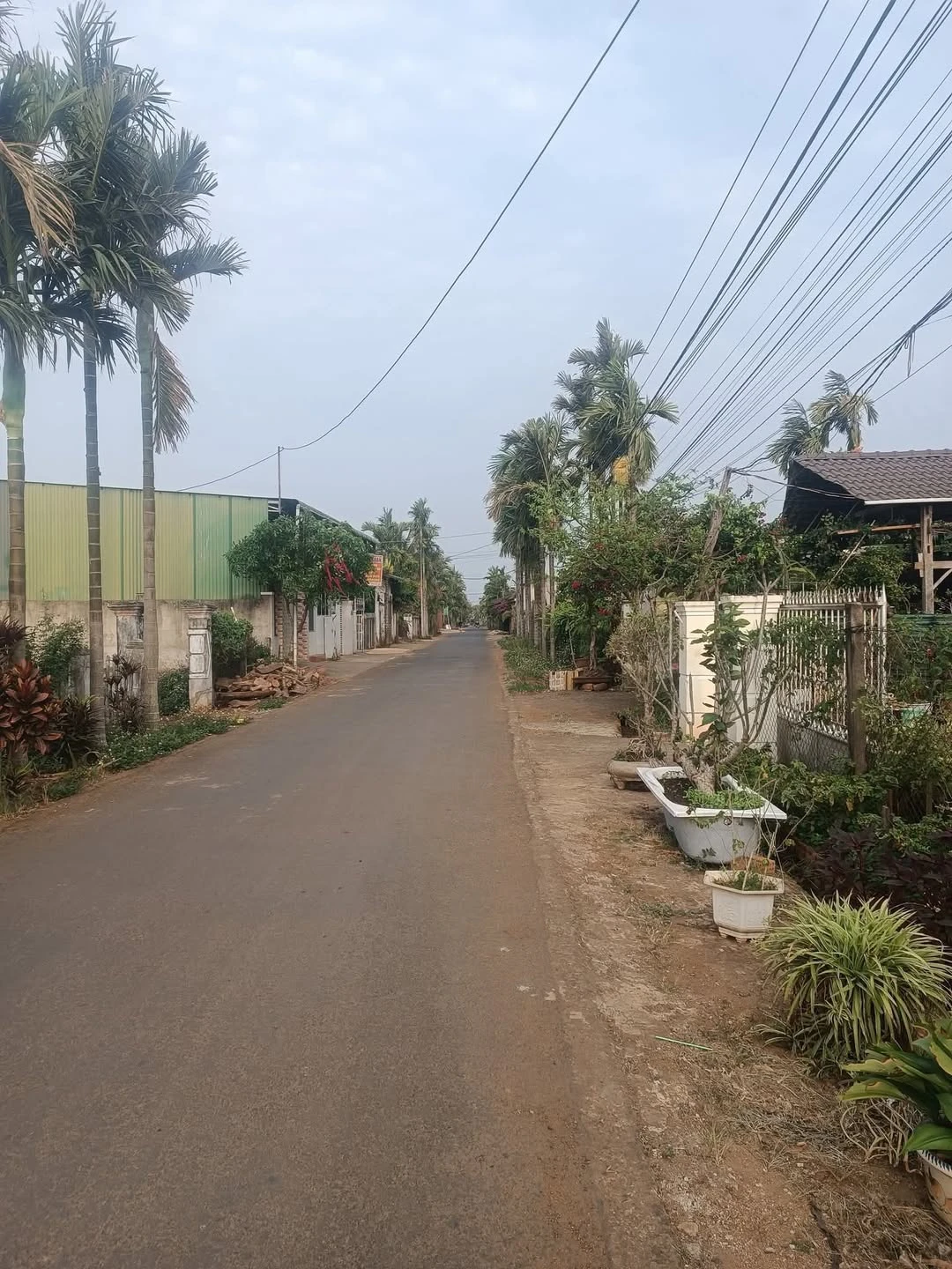 Bán lô đất 252m² đường 10A, Tân An, Hóc Môn - Ảnh 1