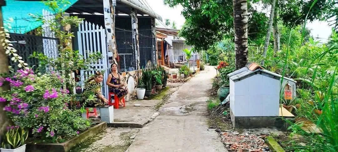 Bán 375 m² đất thổ cư Phong Điền, Cần Thơ - Ảnh thu nhỏ 2