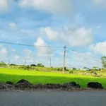 Bán đất mặt tiền 348m2 Đất Đỏ, Cần Giờ - 1 tỷ 600 - Ảnh thu nhỏ 2