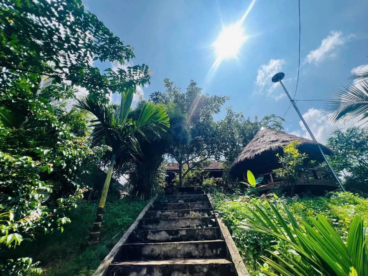 Bán nhà khai thác homestay 1.163m² ở KM12 QL26, Đắk Lắk, doanh thu 15–20tr/tháng - Ảnh 1
