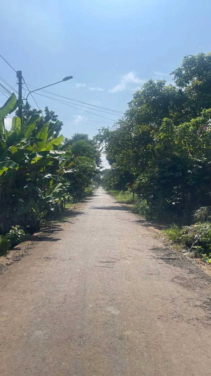 Bán đất mặt tiền Lê Quang Đạo 200m² Bình Chánh - Ảnh thu nhỏ 2