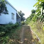 Bán đất 5000m² có nhà kho tại Bảo Lộc, giá 6 tỷ 5 - Ảnh thu nhỏ 2
