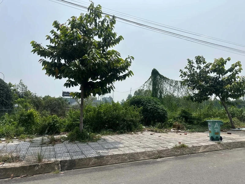 Bán đất Long An 300m² mặt tiền 2,6 tỷ