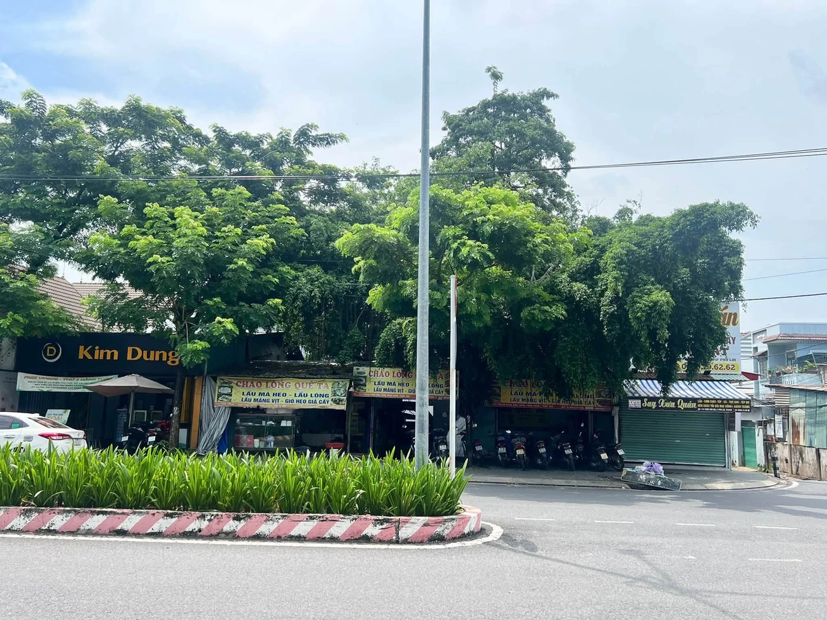 Bán nhà mặt tiền Trần Văn Ơn 100m² giá 12,7 tỷ - Ảnh thu nhỏ 2