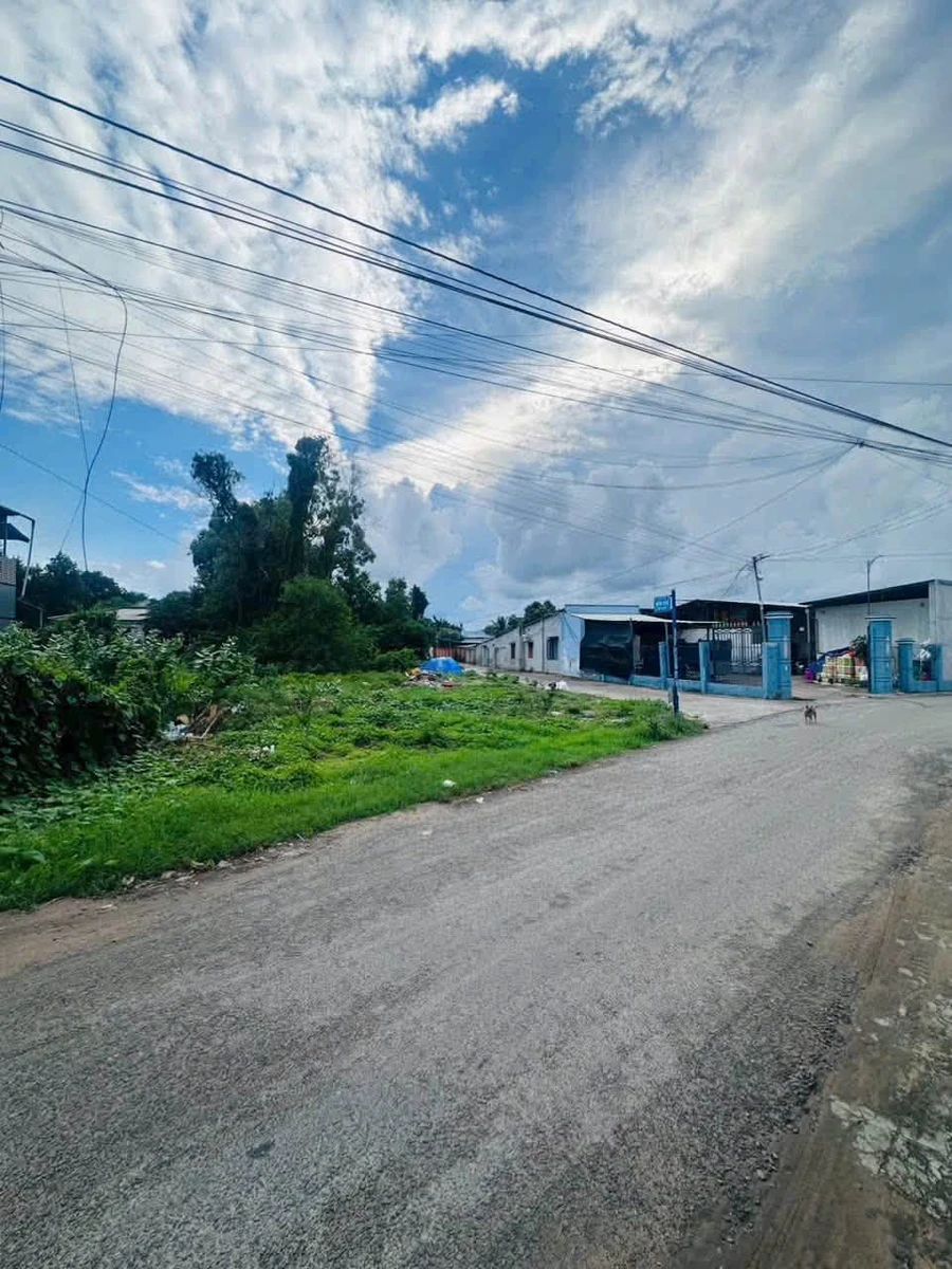 Bán đất mặt tiền Ngô Quyền 463m2, gần biển Phước Hải - Ảnh thu nhỏ 2