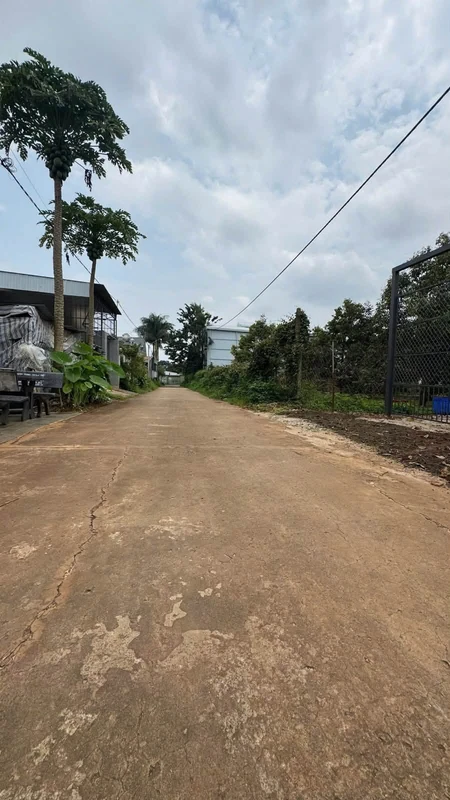 Bán đất 10x30m (300m²) đường nhánh song song QL26, xã Krông Pắc, Đắk Lắk, giá 2,99 tỷ