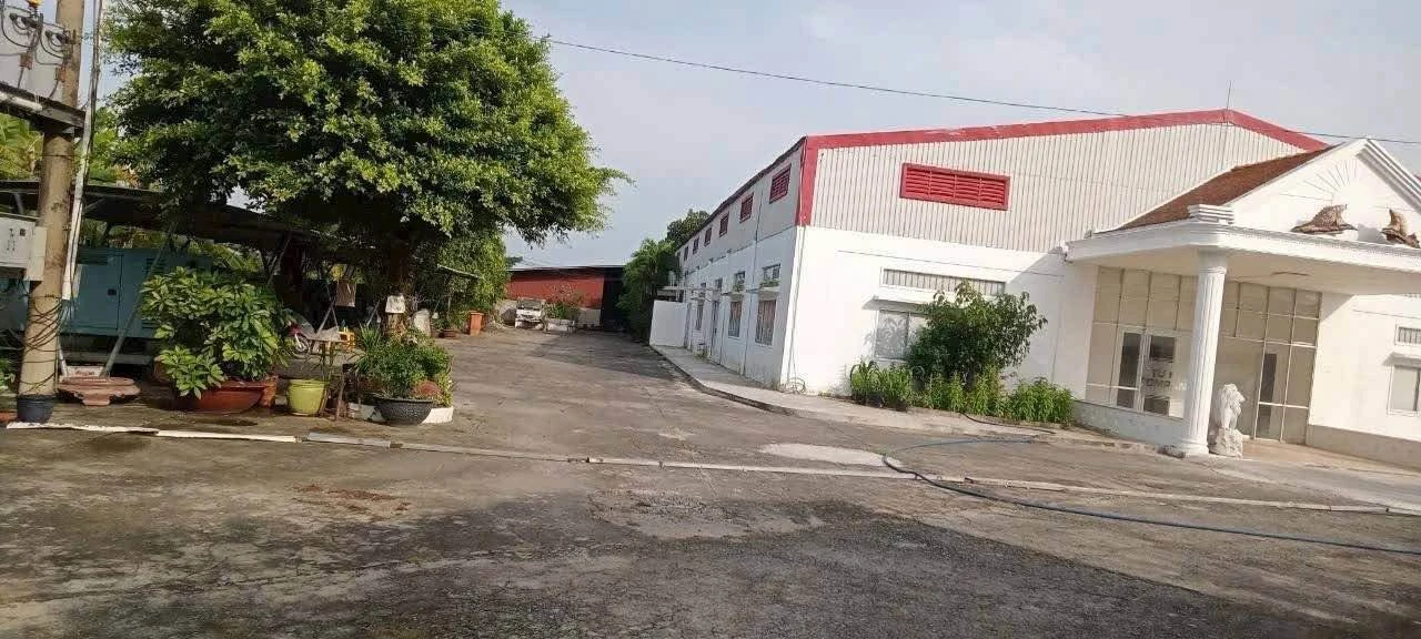 Bán kho xưởng 14.000m2 đất sản xuất Châu Thành Long An - Ảnh 1