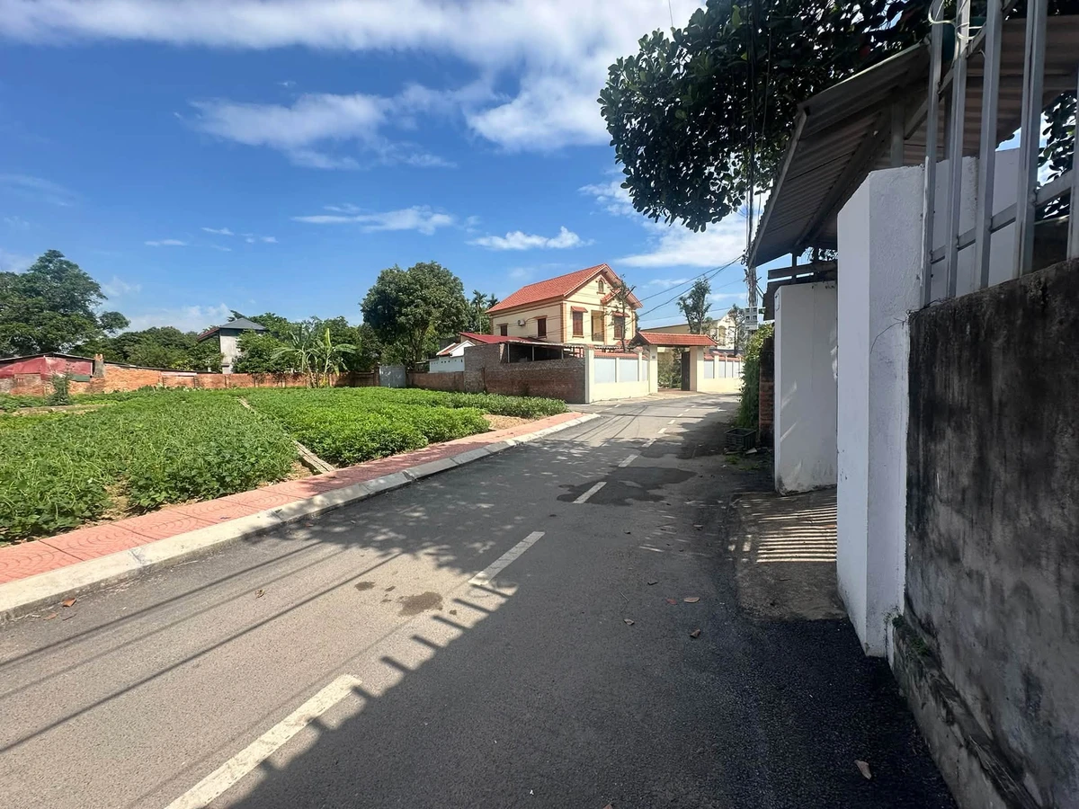 Bán đất thổ cư 100m2 TĐC Bắc Hạ, Quang Tiến, Sóc Sơn, Hà Nội - Ảnh thu nhỏ 3