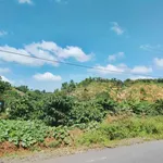 Bán lô đất MT gần 40m đường TL683, xã Đắk Sắk, H. Dăk Mil, Đắk Nông cũ - Ảnh thu nhỏ 2