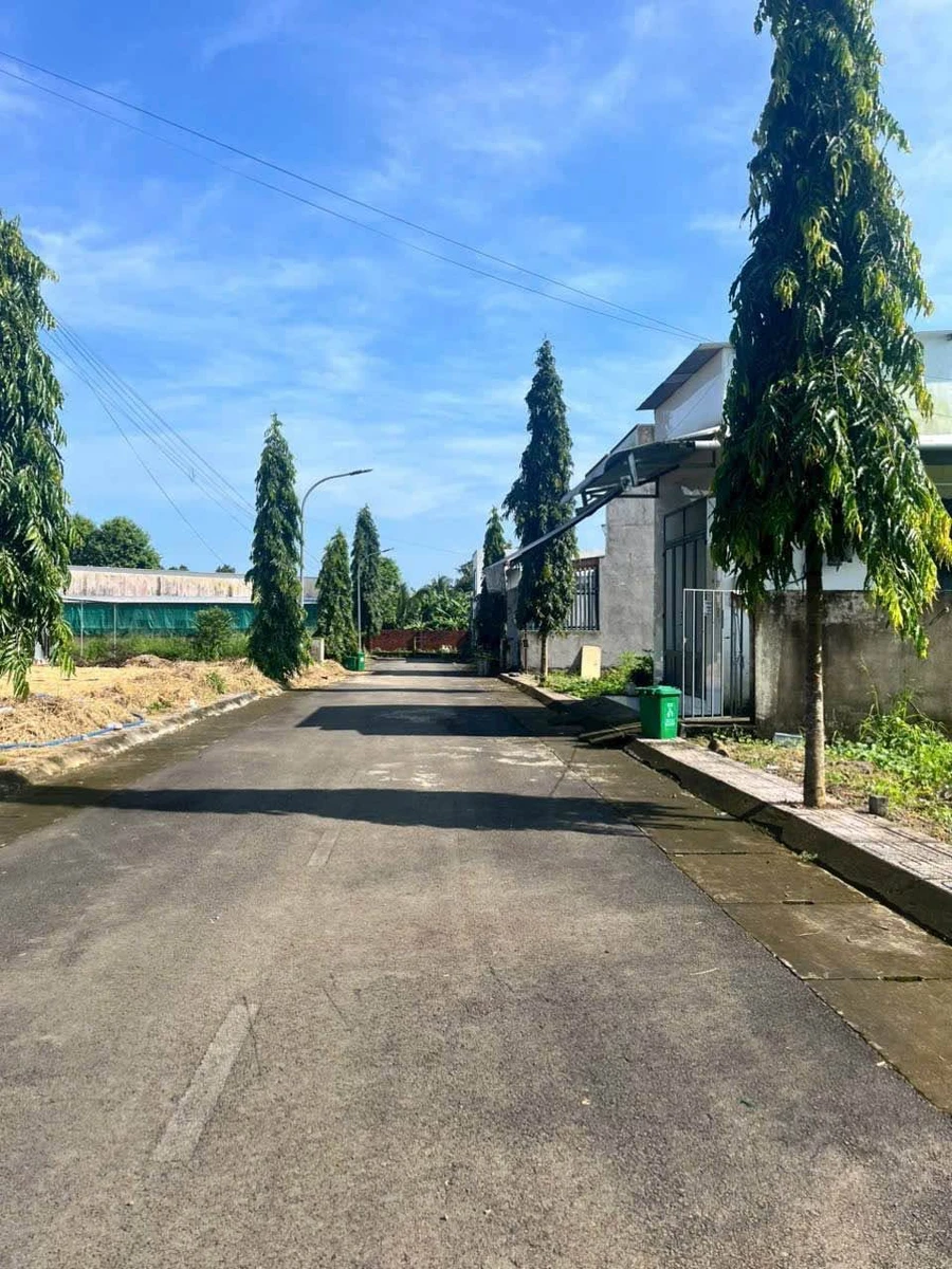 Bán lô đất 5x20m (100m²) 950 triệu Bình Lộc - Ảnh thu nhỏ 2