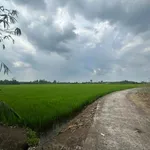Bán đất 2135m2 xã Bình An Long Thành - Ảnh thu nhỏ 3