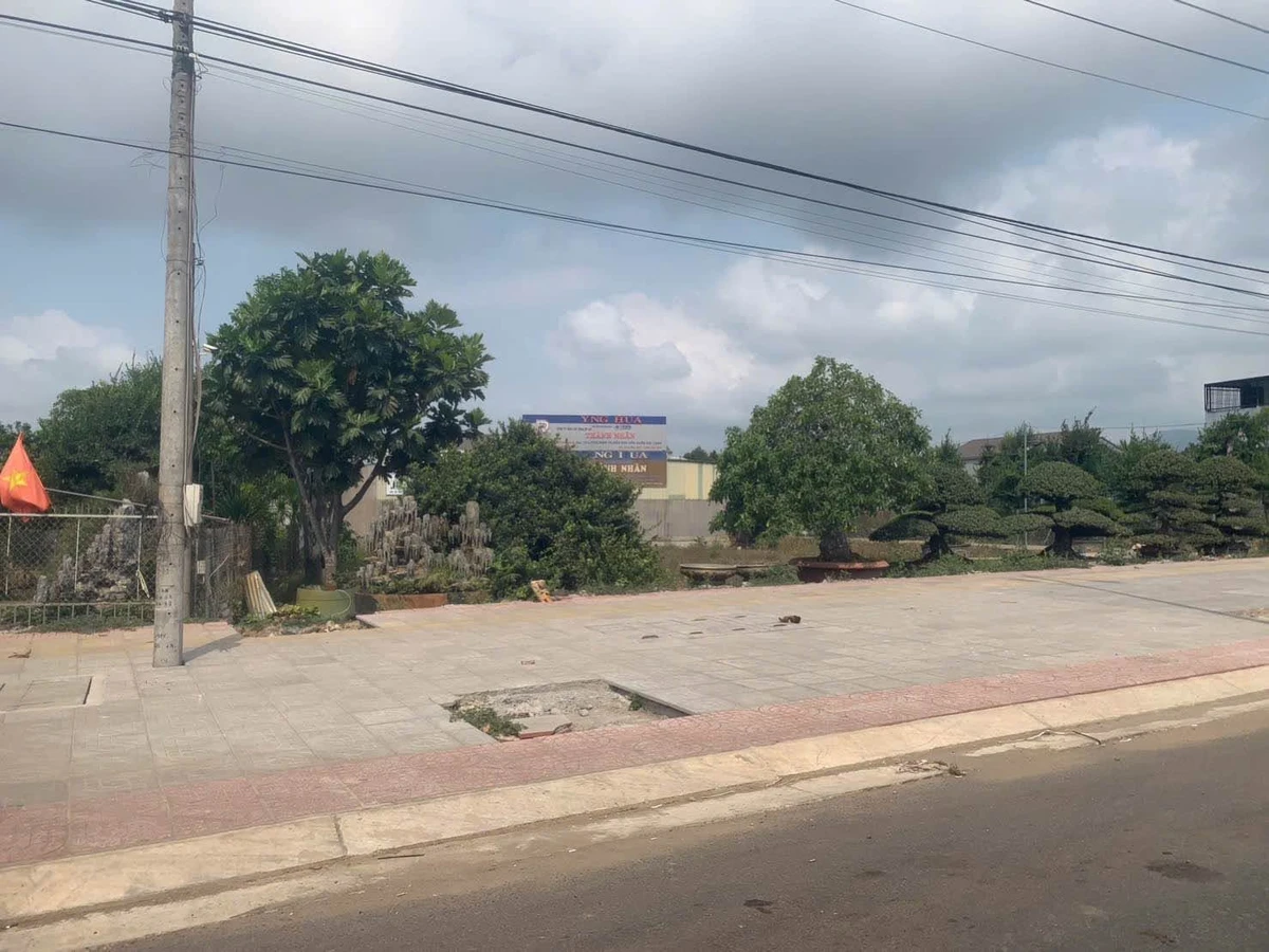 Bán đất mặt tiền Hương Lộ 2 231m2, 3 tỷ 250 triệu Nhà Bè - Ảnh thu nhỏ 2