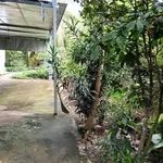 Bán đất 813.9m² gần Khu công nghiệp Giao Long, Vĩnh Long - 1.95 tỷ - Ảnh thu nhỏ 3